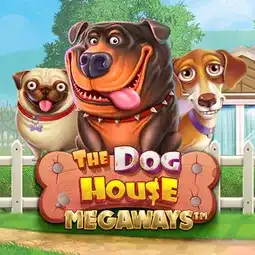 The Dog House Megaways gra w Beep Beep Casino dla graczy z Polski